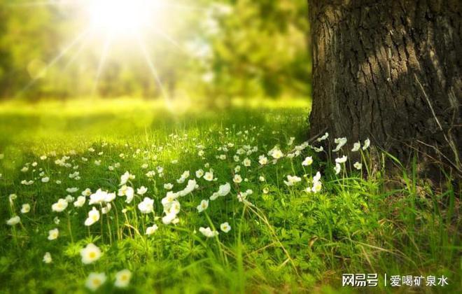 天气回暖体育健身小窍门(图1) 天气回暖体育健身小窍门(图1)