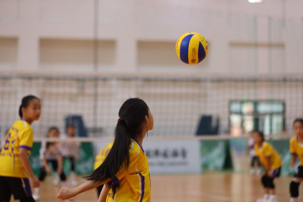 “2024年全国小排球锦标赛暨青少年夏令营(第四期)”在厦门集美工业学校成功举行(图3) “2024年全国小排球锦标赛暨青少年夏令营(第四期)”在厦门集美工业学校成功举行(图3)