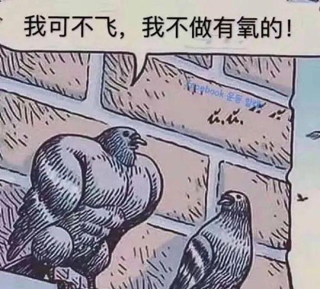 51条健身硬知识看完再决定怎样练!(图3) 51条健身硬知识看完再决定怎样练!(图3)