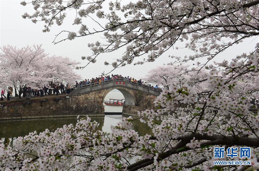 西安海枯JW万豪旅店随从追随广府匠心闪现广式面心(图2) 西安海枯JW万豪旅店随从追随广府匠心闪现广式面心(图2)