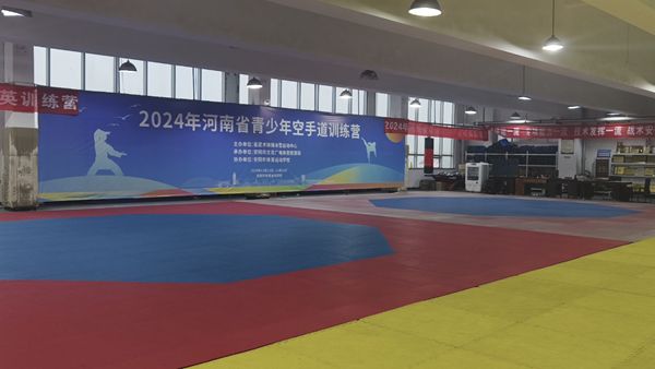 2024年河南省青少年空手道训练营在安阳开营(图2)