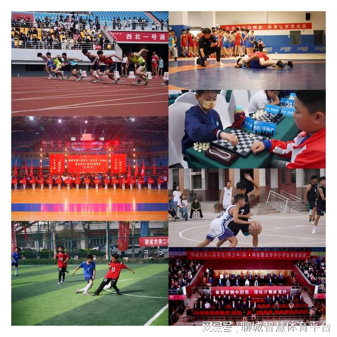 2024年终盘点：这些热点大事赋能聊城体育强市新篇章(图1)