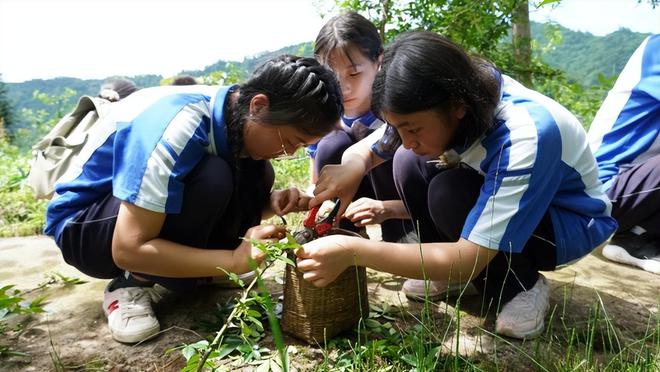 天全中学至善教育巡礼系列至善教育 · 大雅天成(图4) 天全中学至善教育巡礼系列至善教育 · 大雅天成(图4)