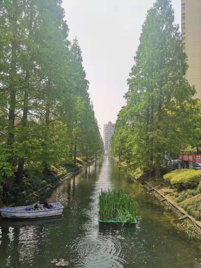 上海古北99官方发布：古北99时代笔触绘就上海清雅画卷！(图19)